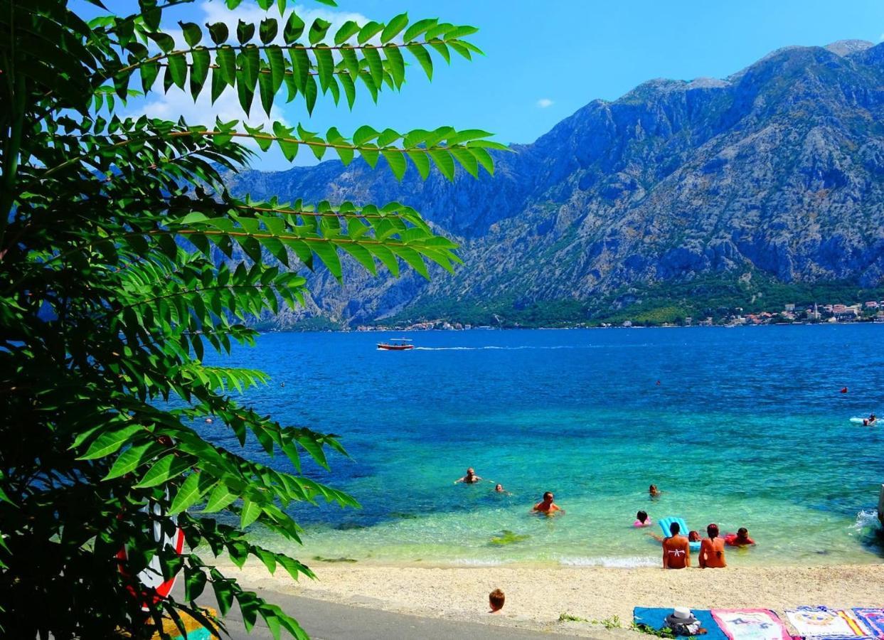 Bay Of Kotor View Apartment With Pool Прчань Экстерьер фото